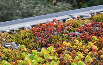 the cost of Largymeanoch green roof installation