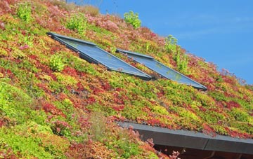 Largymeanoch living roof systems